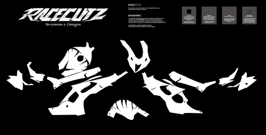 KAWASAKI ZX-10R 2026 TEMPLATE