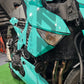 KAWASAKI Z1000 2010-2013 TEMPLATE