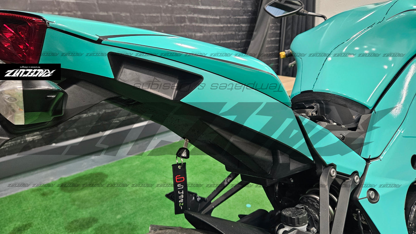 KAWASAKI Z1000 2010-2013 TEMPLATE