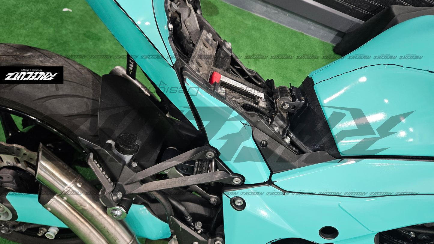 KAWASAKI Z1000 2010-2013 TEMPLATE