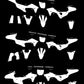 HONDA CRF 450 R 2027 TEMPLATE