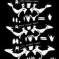 KAWASAKI KX 250 F 2027 TEMPLATE