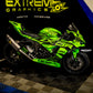 KAWASAKI ZX6R 636 2024-2026 TEMPLATE