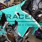 FANTIC XE 300 2024-2025 TEMPLATE