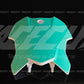 TRIUMPH TF 250-X + 250-C & TF 450-X + 450-C 2024-2026 TEMPLATE