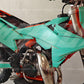 KTM SX 85 2025-2026 TEMPLATE