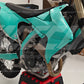 TRIUMPH TF 250-X + 250-C & TF 450-X + 450-C 2024-2026 TEMPLATE