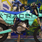 SHERCO SE & SEF 2025-2026 TEMPLATE