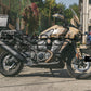 HARLEY DAVIDSON - PAN AMERICA 1250 - TEMPLATE