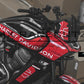 HARLEY DAVIDSON - PAN AMERICA 1250 - TEMPLATE