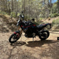 BMW F 900 GS 2024-2026 TEMPLATE