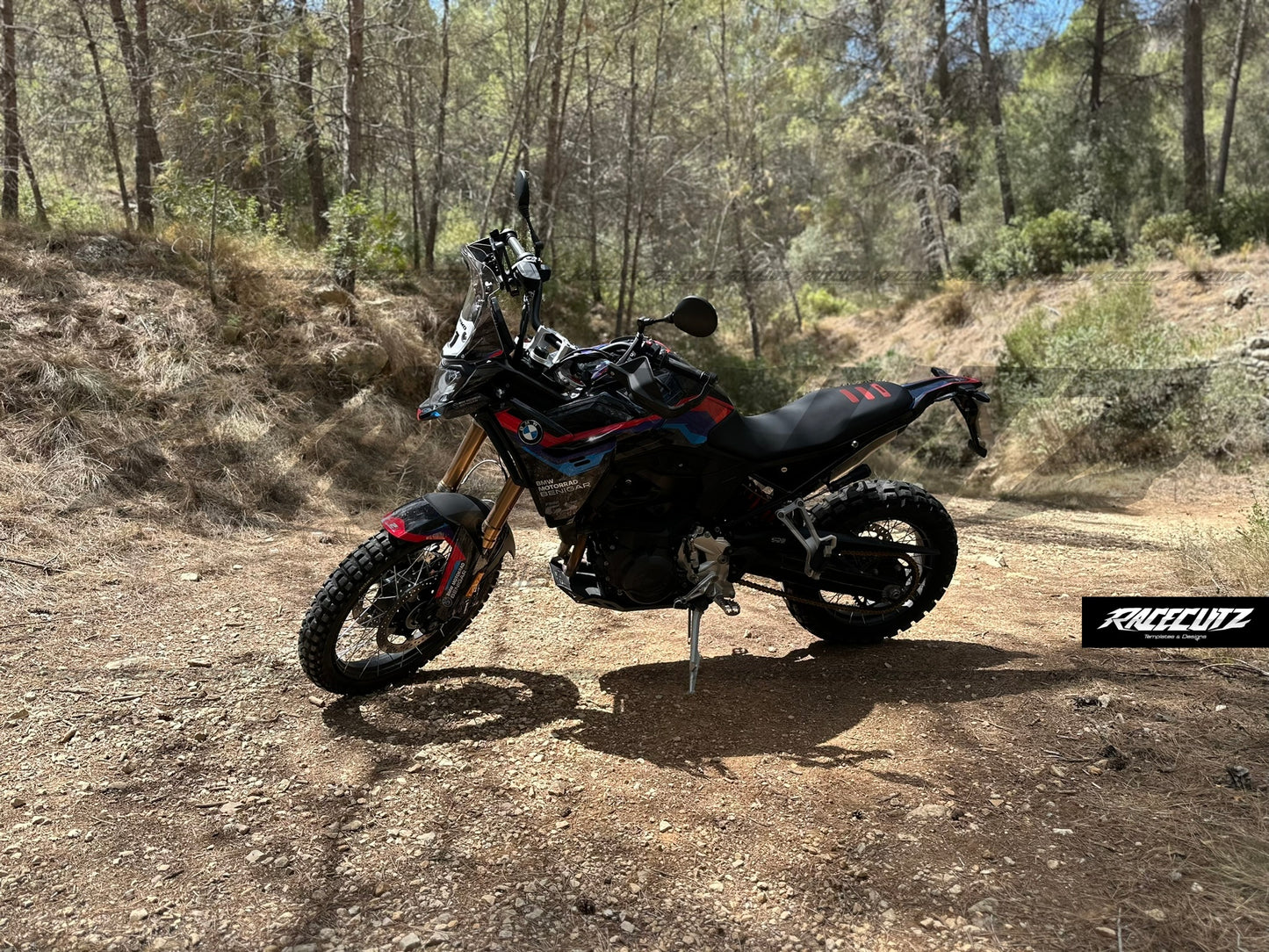BMW F 900 GS 2024-2026 TEMPLATE