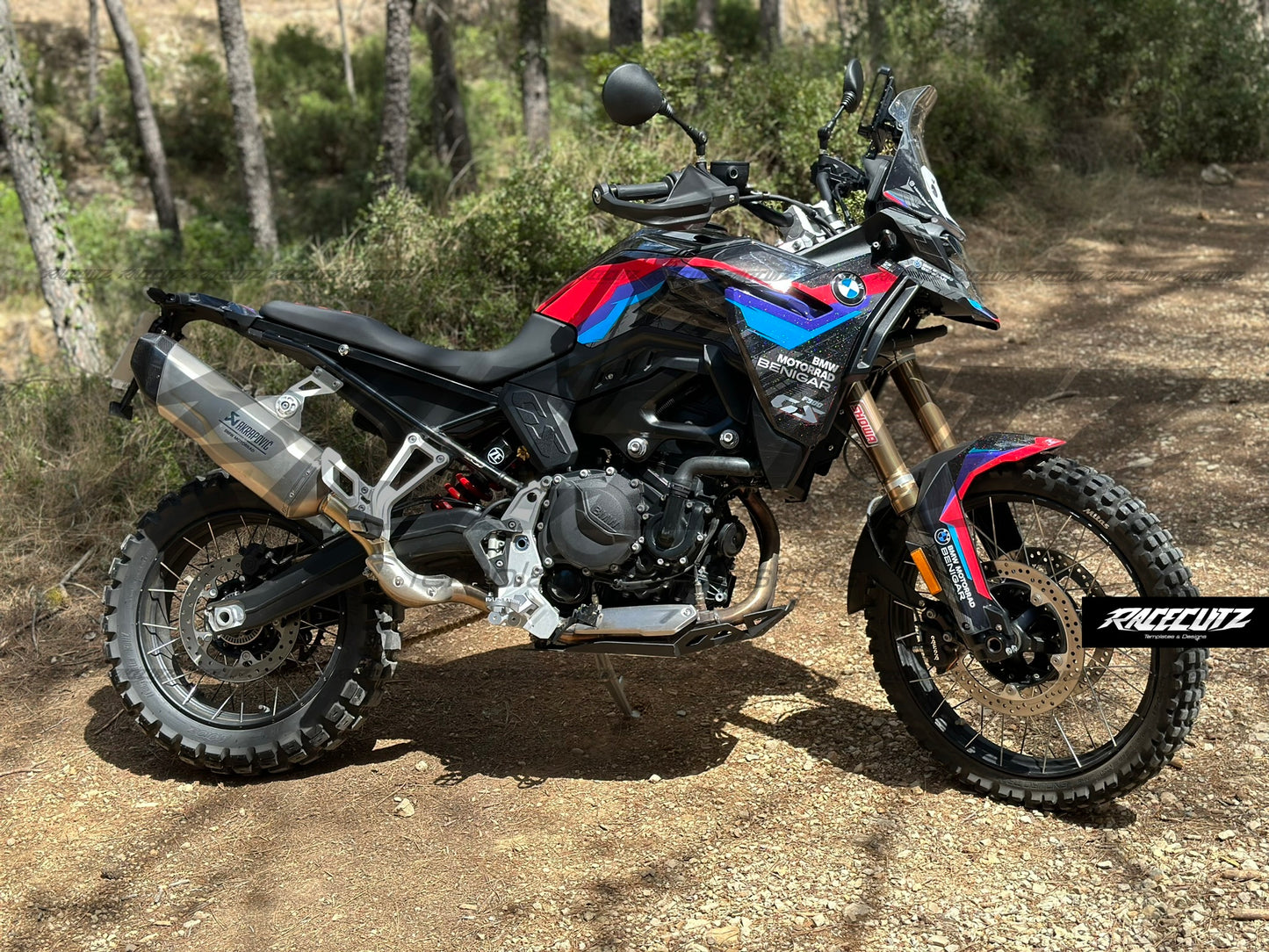 BMW F 900 GS 2024-2026 TEMPLATE