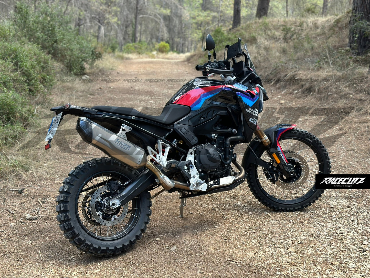 BMW F 900 GS 2024-2026 TEMPLATE