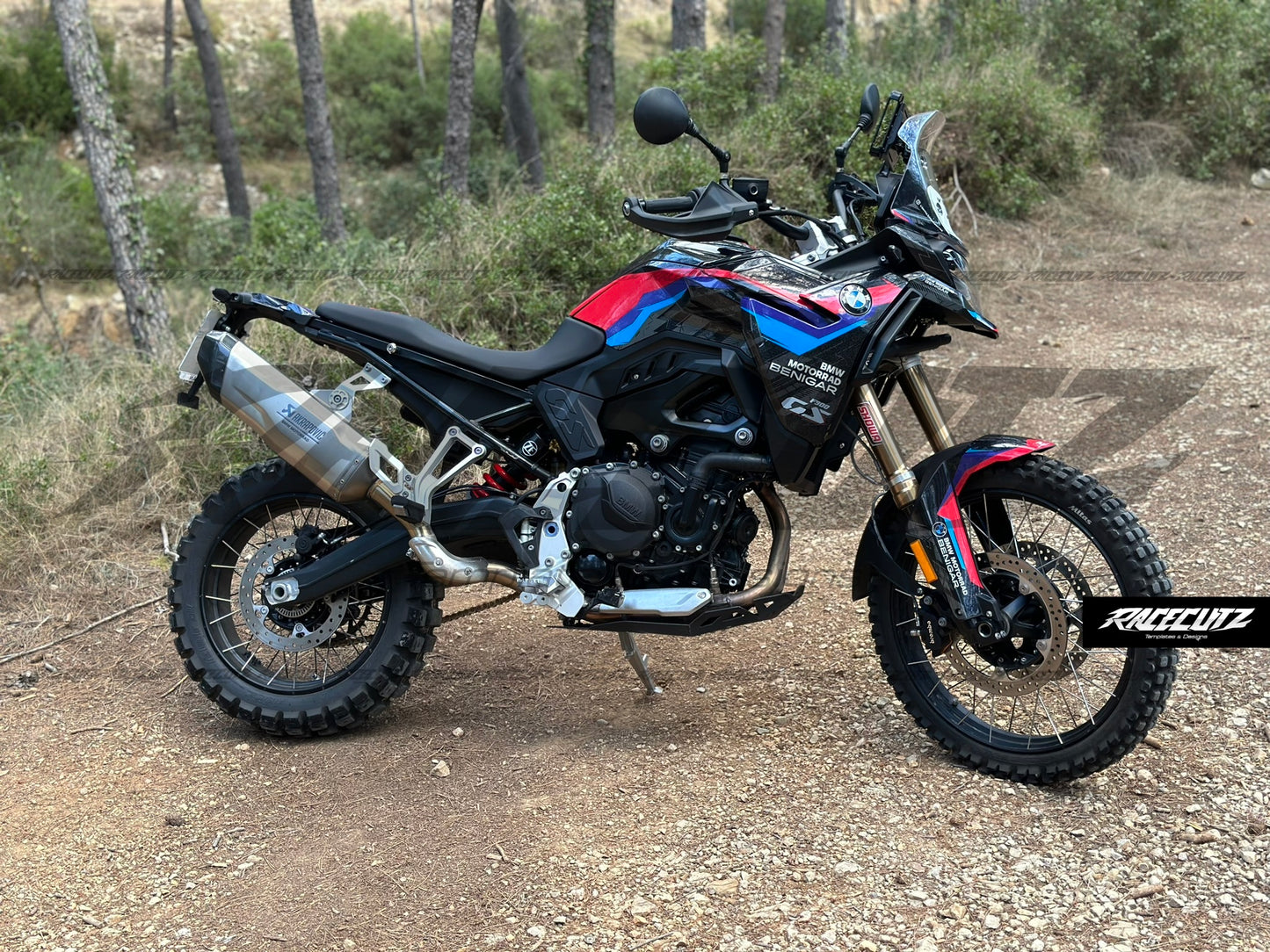 BMW F 900 GS 2024-2026 TEMPLATE