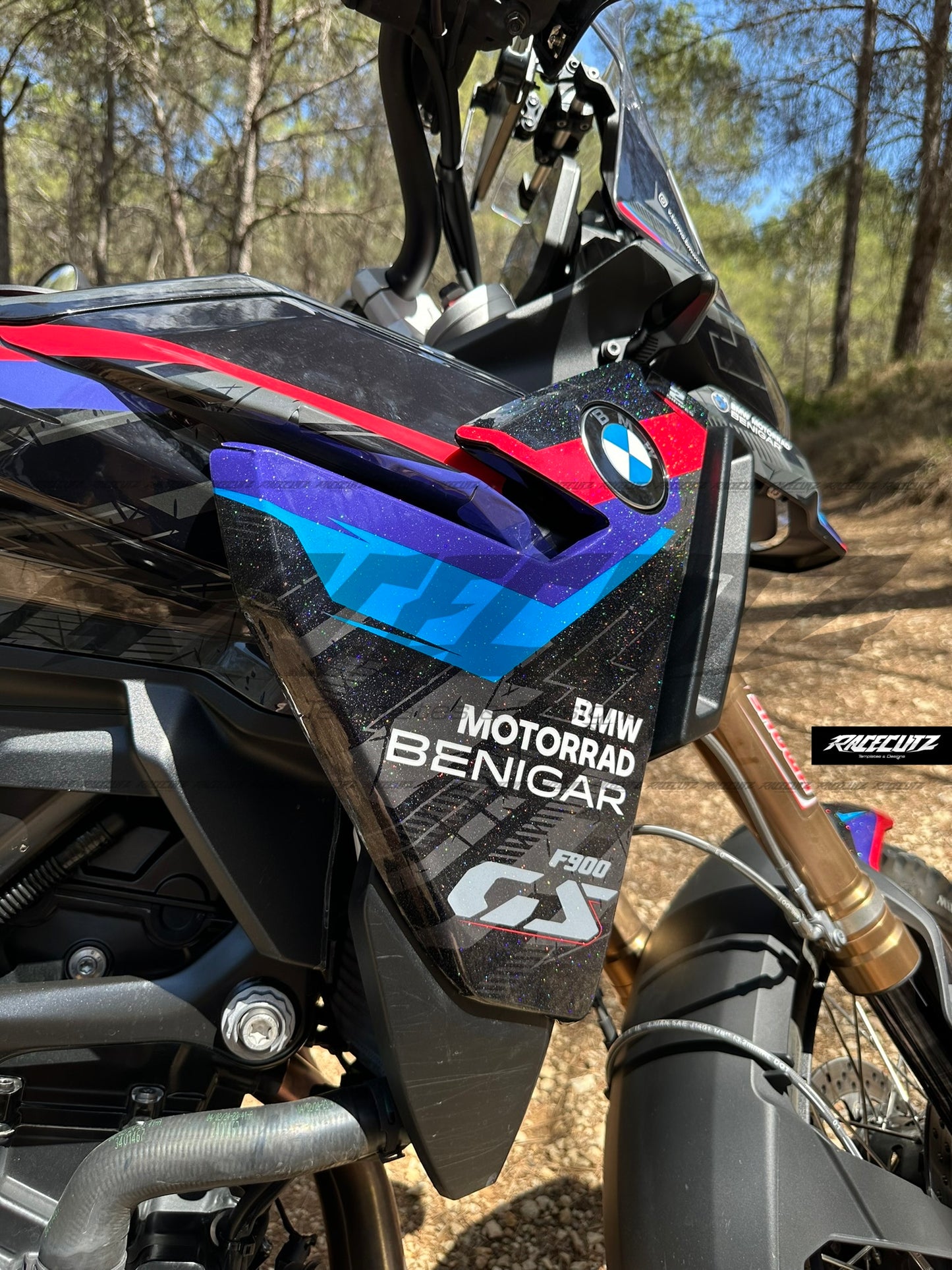 BMW F 900 GS 2024-2026 TEMPLATE