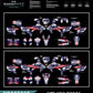 YAMAHA - WASHINGTON DESIGN